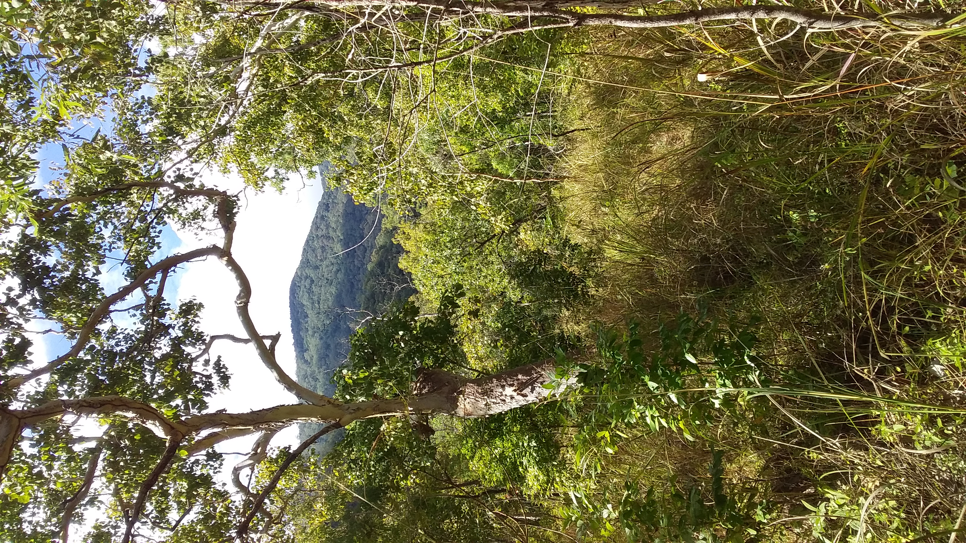 Blacksoil Creek (Bowling Green Bay National Park) image
