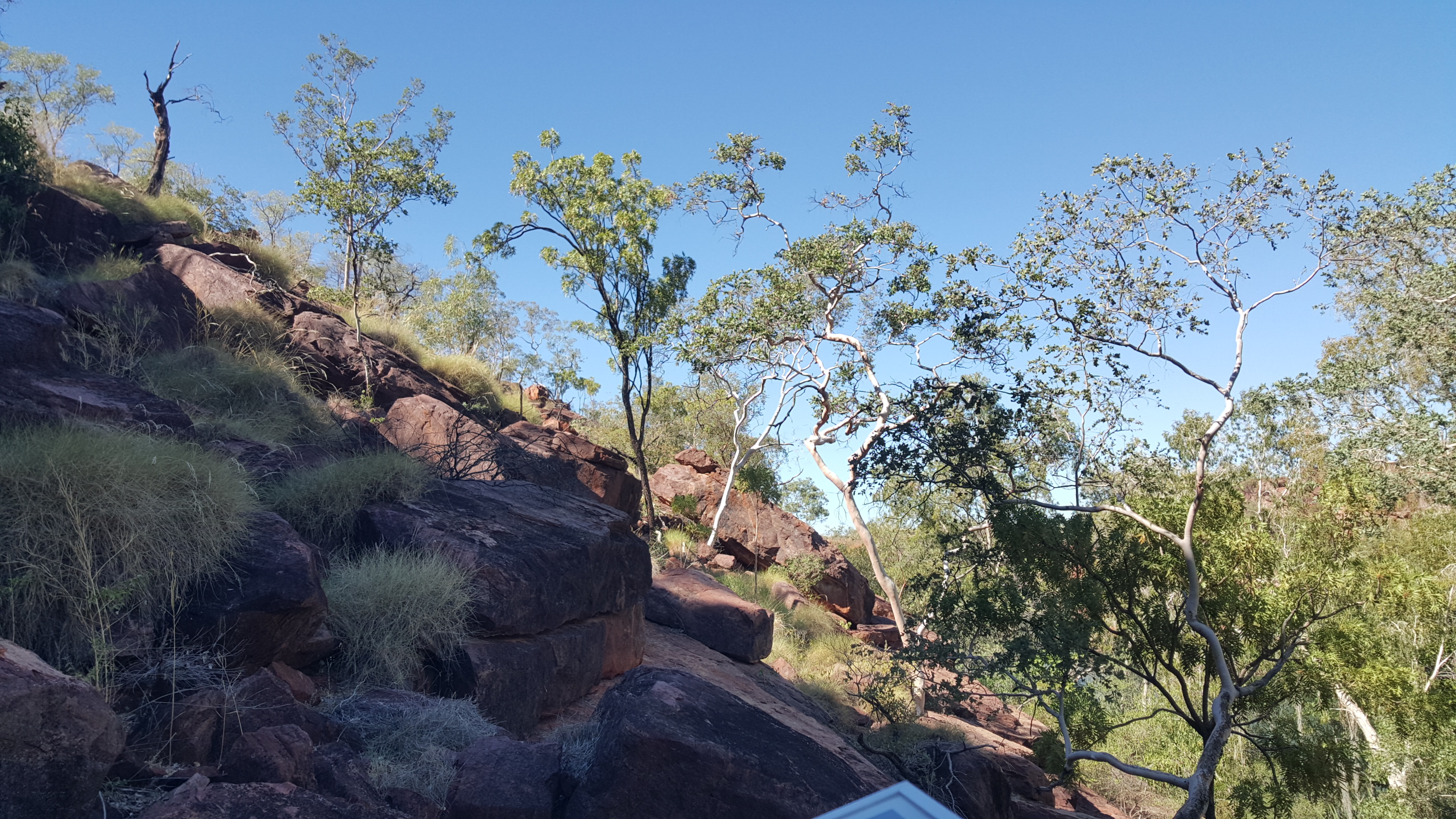 Boodjamulla (Lawn Hill) National Park image