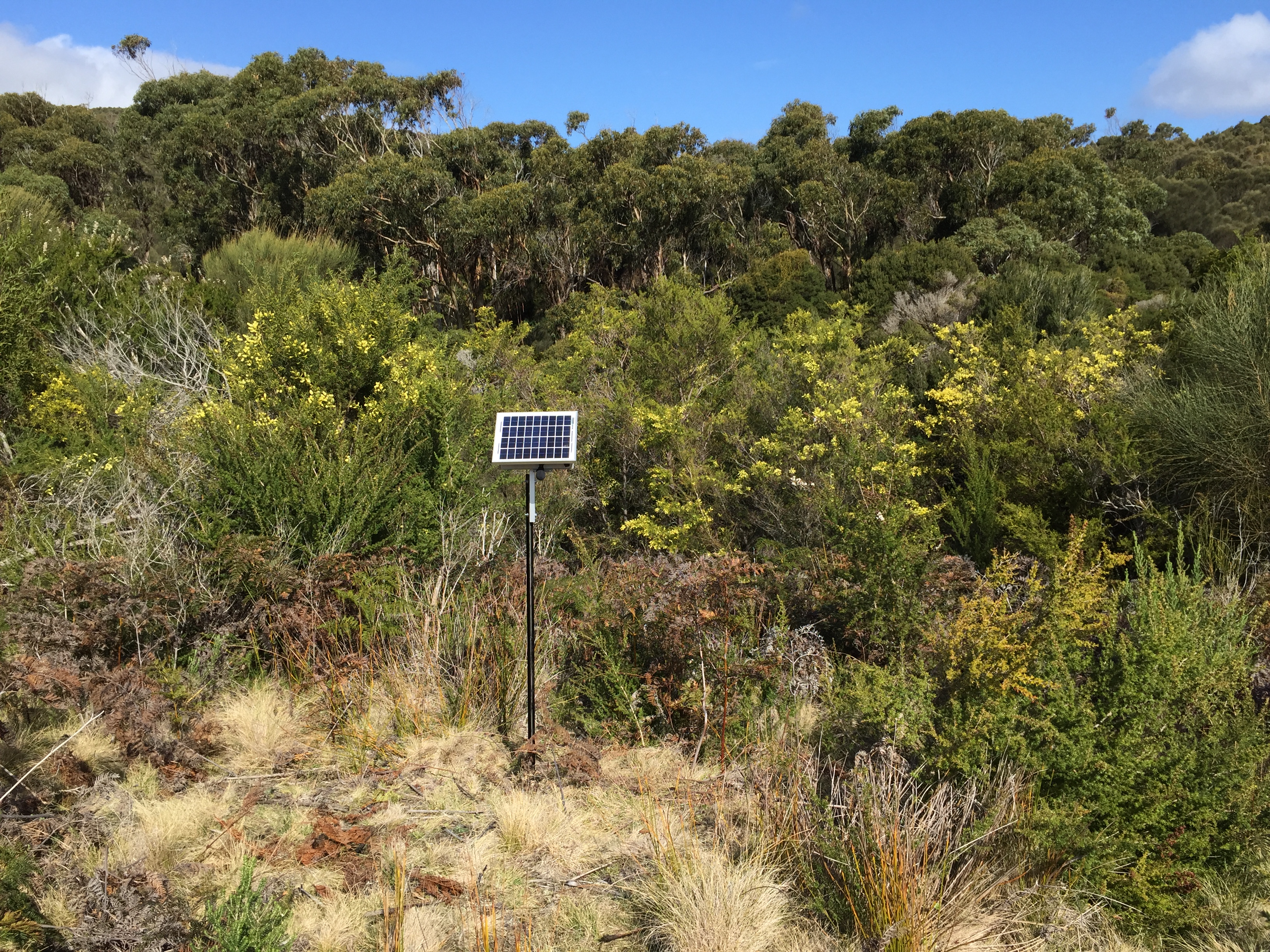 Cape Barren Island image