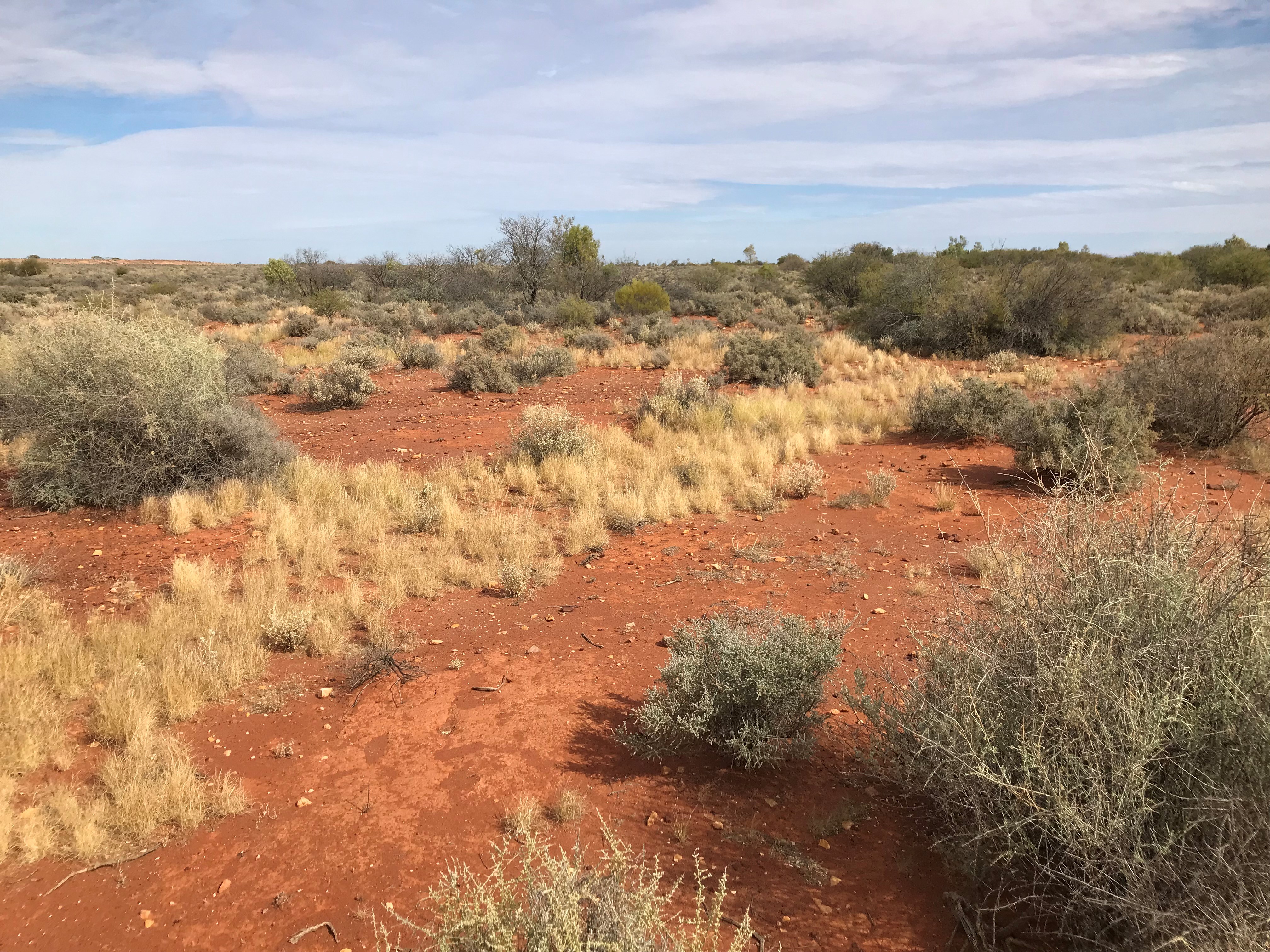 Bon Bon Station image