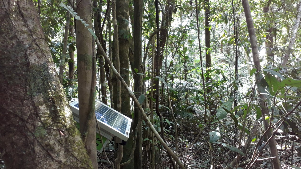 Robson Creek image