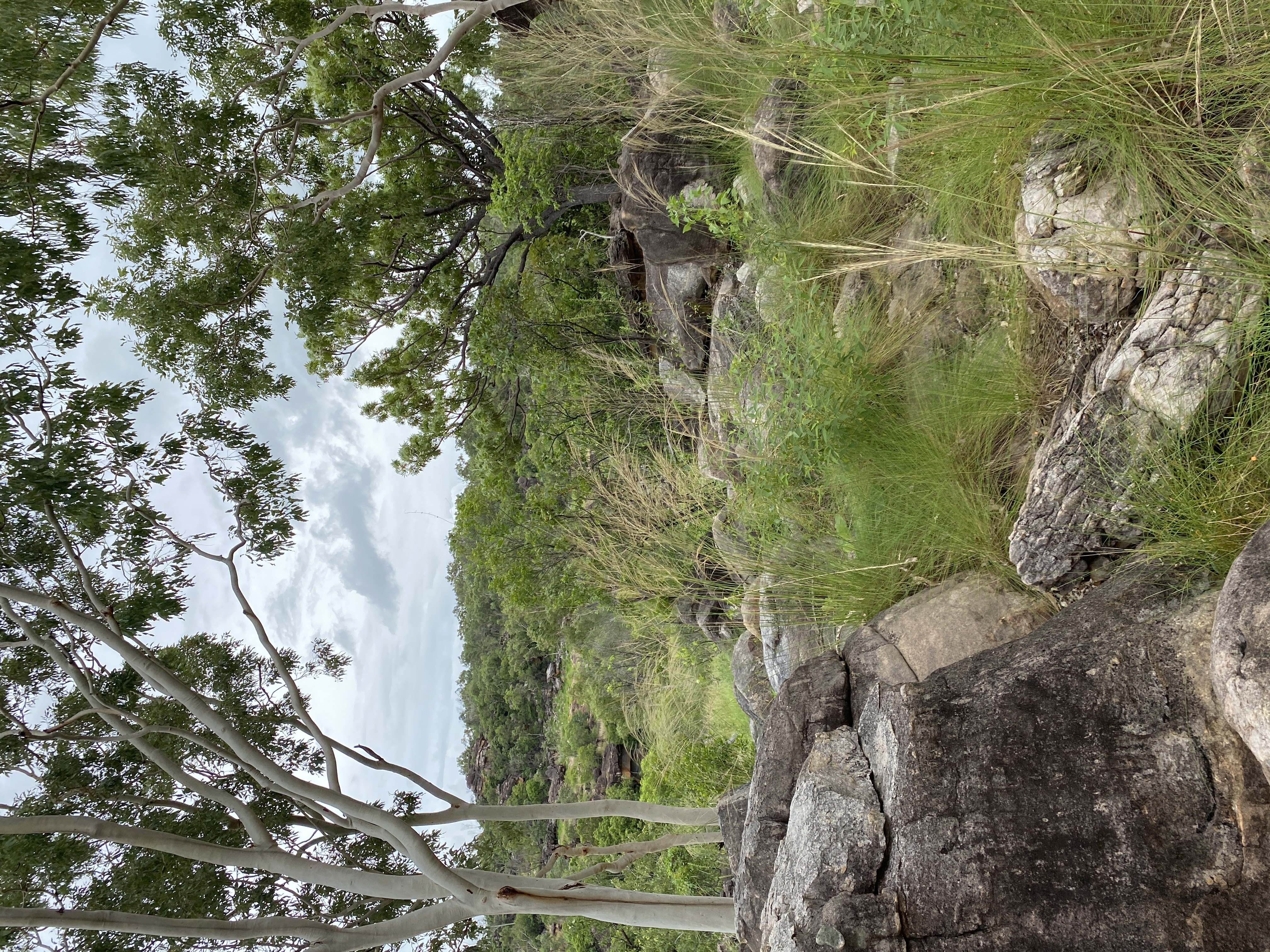 Uunguu Indigenous Protected Area (Wunambal Gaambera) image