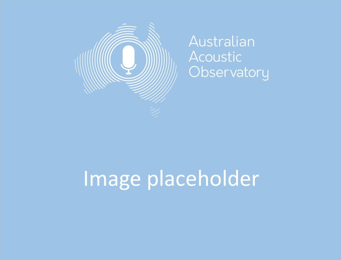 Rinyirru (Lakefield) National Park image