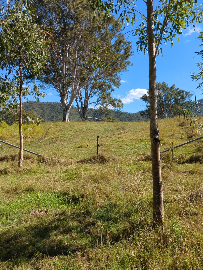 Aroona Station image