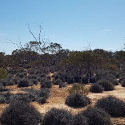 Gluepot Reserve image