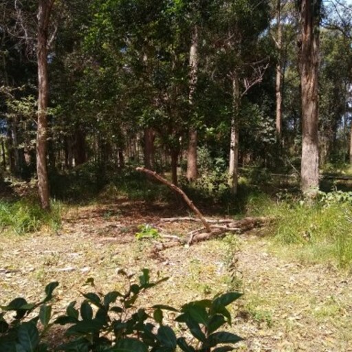 Doonan Creek Environmental Reserve image