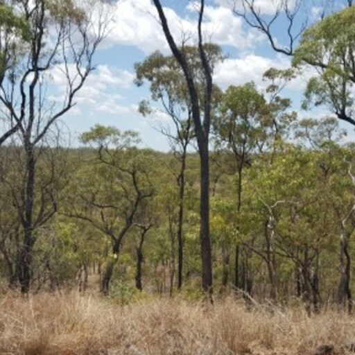 Blackbraes National Park image