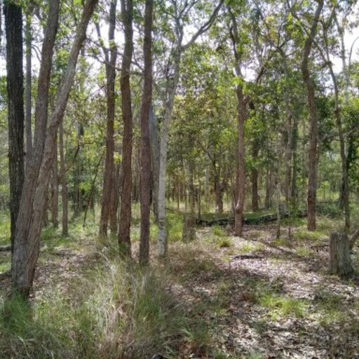 SEQP Samford image