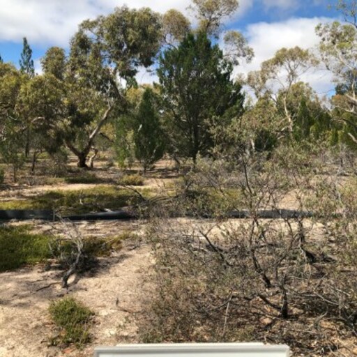 Little Desert Nature Lodge image