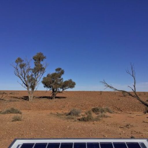Sturt National Park image