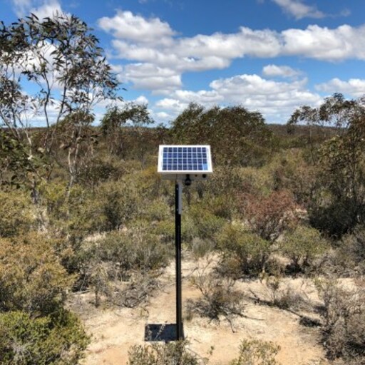 Monjebup Reserve/SWWA Floristic Region image