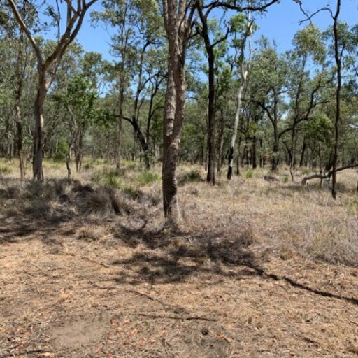 Carnarvon Station Reserve image