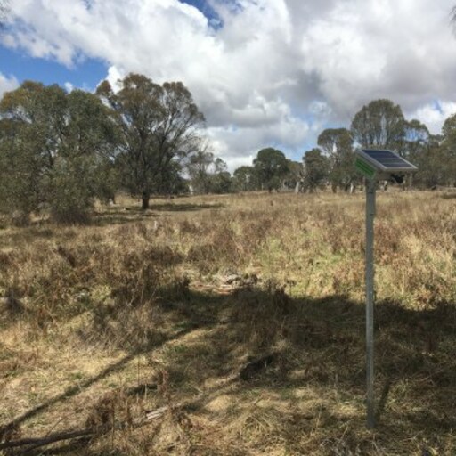 Little Llangothlin Reserve/Warra National Park  image