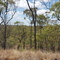 Blackbraes National Park Dry A