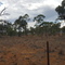 Blackbraes National Park Dry B