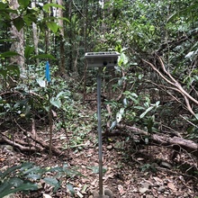 Daintree Rainforest Observatory Wet A