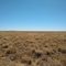Mitchell Grass Rangeland Dry A