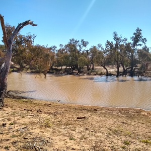 Bowra Wet B image