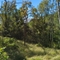 Aroona Station - Dry A