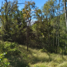 Aroona Station - Dry A