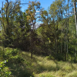 Aroona Station - Dry A alt