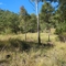Aroona station - Dry B