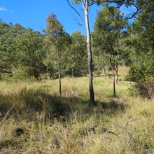 Aroona station - Dry B