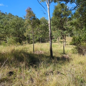 Aroona station - Dry B alt