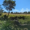 Aroona Station - Wet A