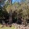Aroona Station - Wet B